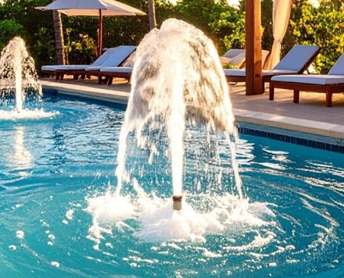 Fish Fountain