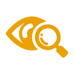 ic1